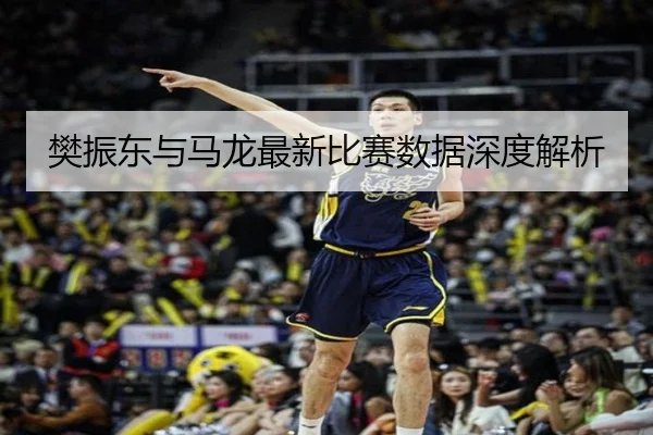 樊振东与马龙最新比赛数据深度解析